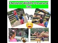 Chestatee Wildlife Preserve Zoo Family Adventures