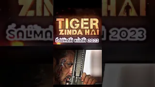 Tiger Zinda Hai Salman Khan Dialouge Tiger3 Shorts Youtubeshorts 