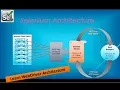 What is Selenium WebDriver Architecture