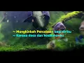 Rintihan Hidup (Karaoke)  D'lloyd / nada Cowok Bb