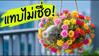 สวยจนคนหยุดมอง ! พลิกโฉมคุณนายตื่นสาย มีสิ่งนี้ ใครๆก้ทำได้ | Nava DIY
