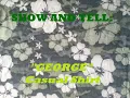 SHOW AND TELL 17 Hawaiian shirt camo GEORGE Camouflage short sleeve button down shirt