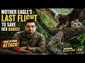 Eagle Mother s Last Stand Against a Giant Python Wildlife Survival
