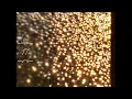 Download Lagu Christmas Calendar Door 17 with Piece of the Planet and Piano Music