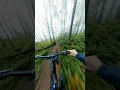 Download Lagu Trail of Dreams! #mtb