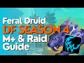 Feral Druid Season 4 Beginner Guide for Raid M Dragonflight 10 2 6
