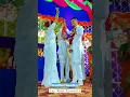 Buddhist wedding ЁЯТЩ| Buddhist marriage status ЁЯТЩЁЯТР #jaybhim #shorts #wedding #youtubeshorts #trending