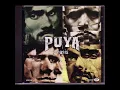 Puya - Oasis
