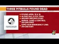 Three dogs found dead in Cedar Rapids investigation underway