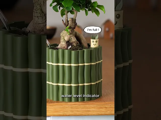 Self-Watering Plant Pot With Bamboo Buddy!  |  Planter STL & 3MF to 3D print  video thumbnail