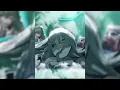 Lagu K3NT4! (silxnt), Irokz - I can't do this (i knew it) ultra slowed + manga edit