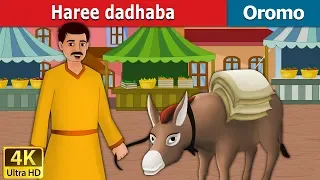 haree dadhaba lazy donkey in oromo oromo story oromo fairy tales