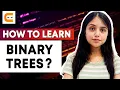 How To Learn Binary Trees Binary Trees Introduction For Beginners Binary Trees By Coding Ninjas