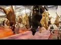 Download Lagu Schokkend in het grootste slachthuis van Europa - nieuwste technologie en processen in de melkvee...