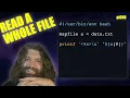 Understanding The mapfile builtin in Bash - You Suck at Programming