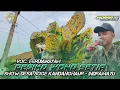 Download Lagu RESIKO WONG SETIA - VOC. FERDIANSYAH || SHOW DESA SOGE KANDANGHAUR - INDRAMAYU
