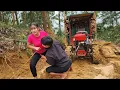 Lagu Agricultural vehicles transport timber on muddy roads.