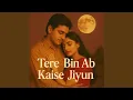 Tere Bin Ab Kaise Jiyun 2