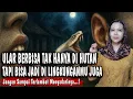 Download Lagu Cara Membaca dan Mengantisipasi Ular Berbisa di Lingkungan Sekitar Kita | PENYAKIT RAKYAT