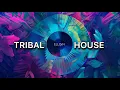 Download Lagu Tribal House \u0026 Progressive Underground Mantra dj mix set - Ellgin