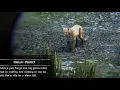 RDR2-One Way to Guarantee a Perfect-Pelt Predator to Spawn Cougar Panther Grizzly Bear