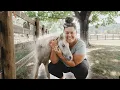 Download Lagu Weaning a miniature horse - Squirt, you made this insanely easy