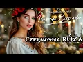 Lagu Czerwona Róża Biały Kwiat!!! 2025 !!!🎶🎶💖💖🔥🔥🔥