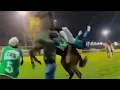 Download Lagu Jockey KO'd by Horse Headbutt: Wild Parade Ring Backflip!