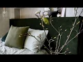Bedhead Slipcover in Olive Green Velvet by Create Estate