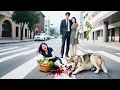 Download Lagu He allowed mistress's dog bit off wife's leg, she divorced, returned to the richest, made him regret