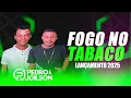 Download Lagu PEDRO E JOILSON - FOGO NO TABACO - LANÇAMANETO 2025 FORROZÃO PRA DANÇAR EM PIÇARRA MOLHADA