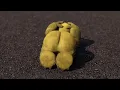 Over The Hedge Verne s Butt Scenes
