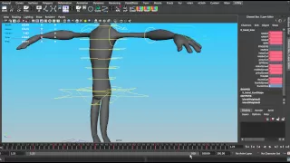 CRI1 Proxy Rig