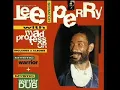 Lee Perry & Mad Professor - Broken Antennae