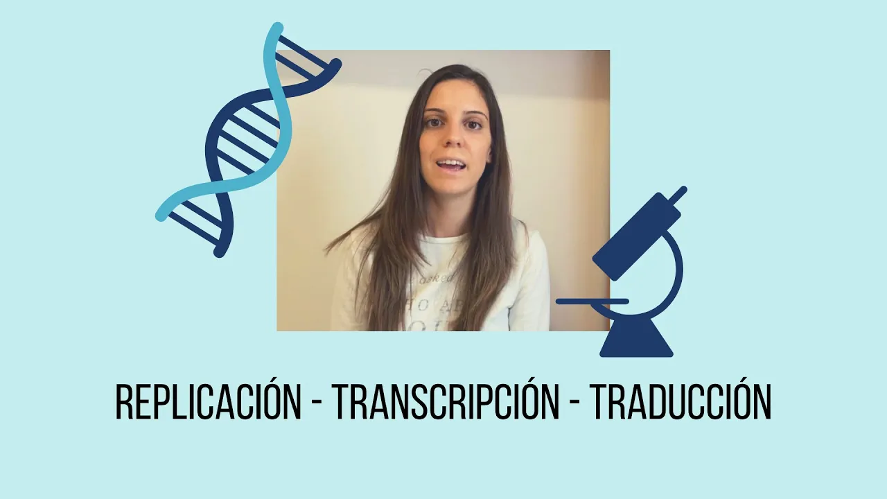 Replicación, transcripción y traducción. Genética molecular. 4° ESO.