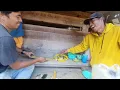 Download Lagu Berbagi pulang kerja lemang masak ramai makan bersama di pondok