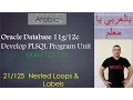 Oracle PLSQL Nested Loops Labels
