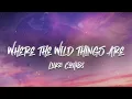 Download Lagu Luke Combs - Where the Wild Things Are (Lyrics)