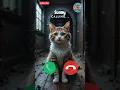 Download Lagu 🤙😺 #ringtone #cat #trending #cutecat #youtubeshorts #viralshort #calling #kitten #shorts #2025trends