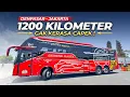 Download Lagu BALI JAKARTA GA BAKAL CAPEK NAIK BUS INI ‼️ Gunung Harta Tronton Combi Volvo #2
