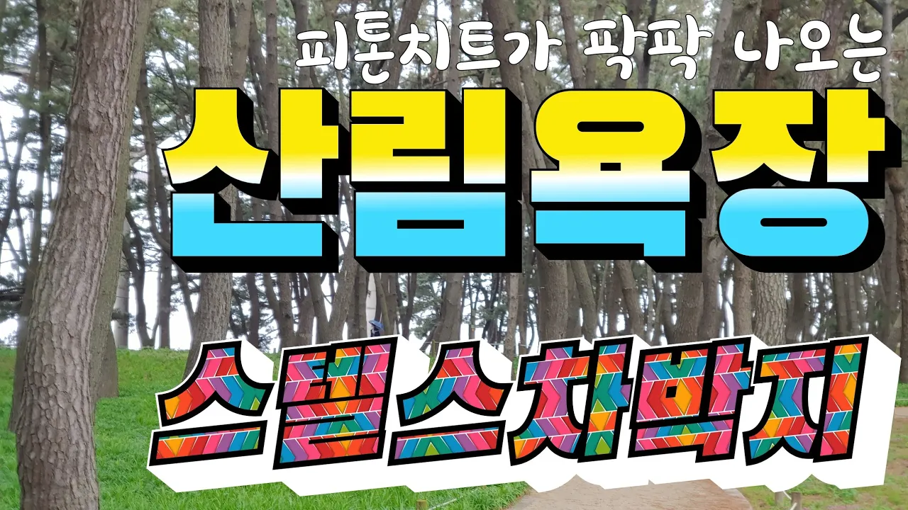 관련 영상 썸네일