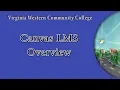 Canvas Overview