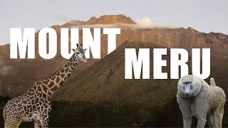 mount meru hiking with giraffes