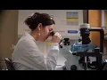 Launch Your Northeastern Master s Degree in Maine