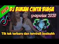 dj bukan cinta biasa tiktok viral 2020