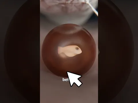 machhali khana kaise khati hai