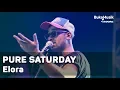 Download Lagu Pure Saturday - Elora (with Lyrics) | BukaMusik