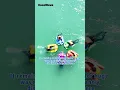 Download Lagu Water Scooter--With thickened anti collision strips.