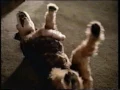 Geico Direct - Car Insurance Commercial