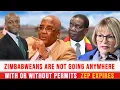 Download Lagu Zimbabweans: 'We're Staying Forever - With or Without Permits | Inside the ZEP Debate